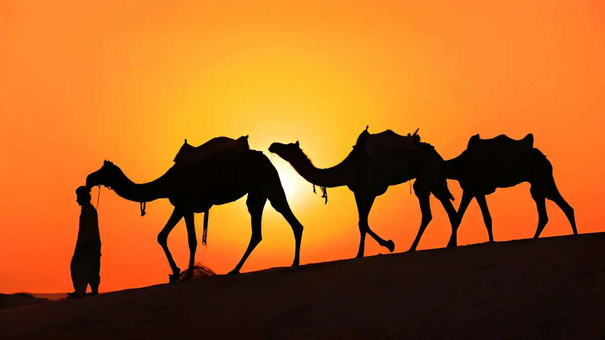 Morocco Travel Blog & Guides