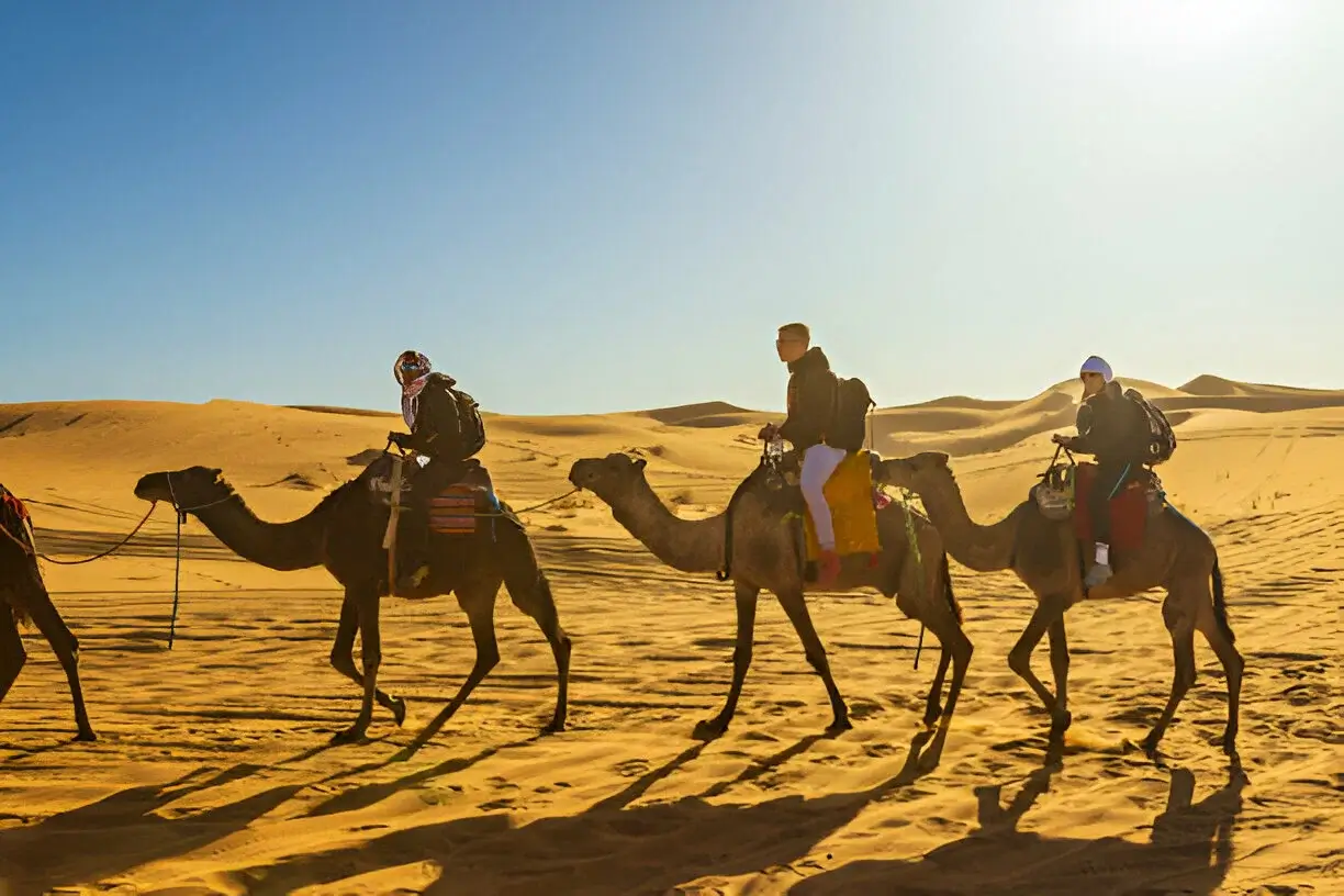Camel trek across Erg Chebbi dunes on a 3-day desert tour from Marrakech to Merzouga