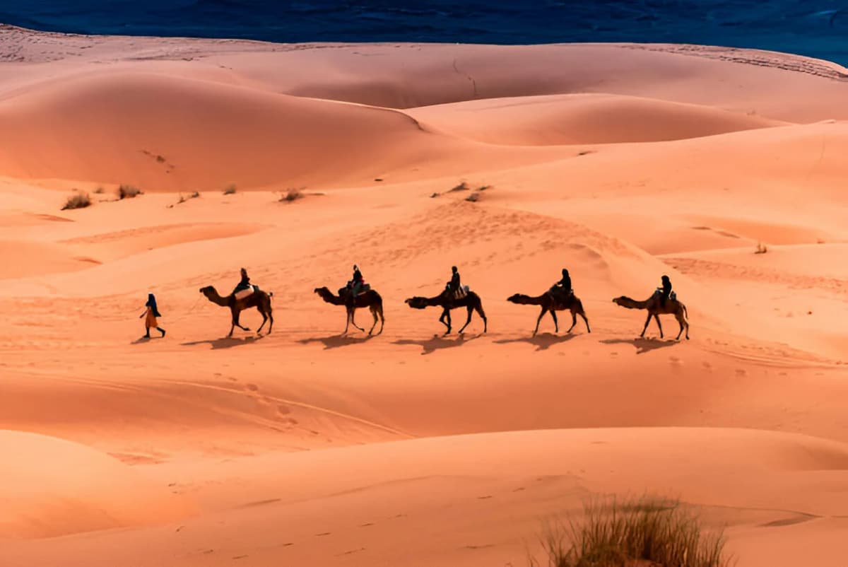 Complete Sahara Desert Guide