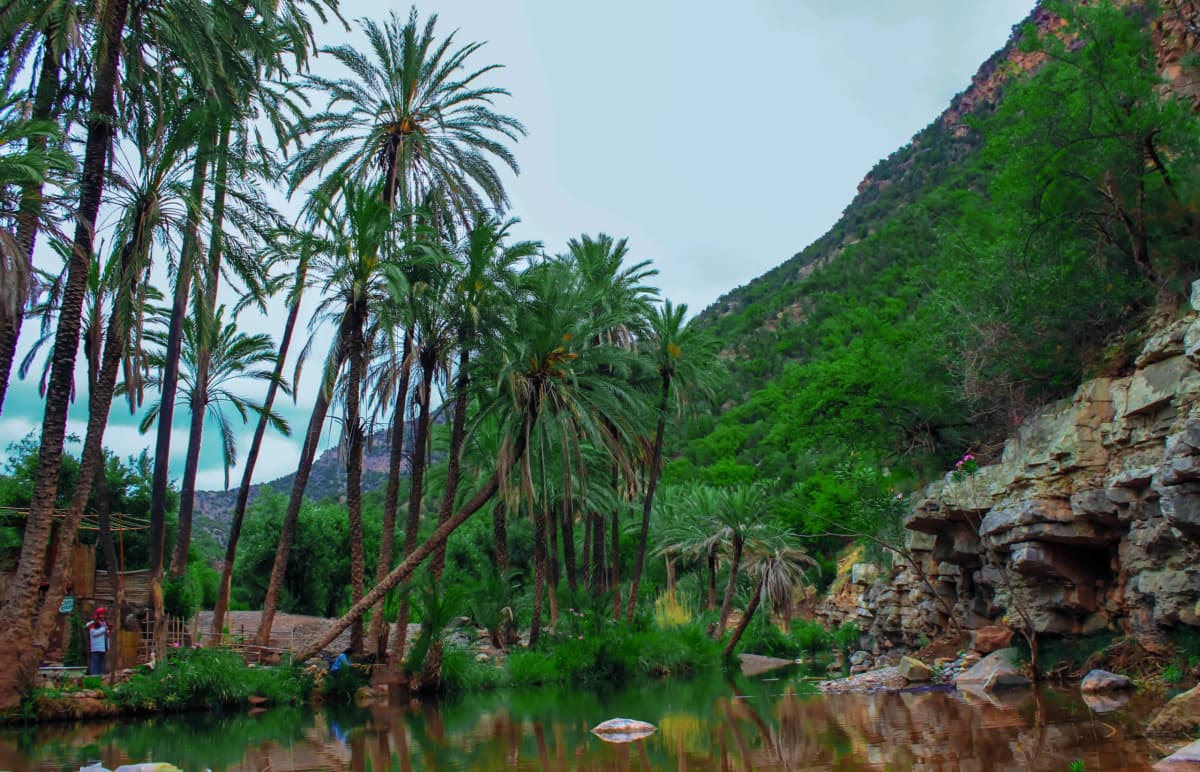 Agadir to Paradise Valley Day Trip