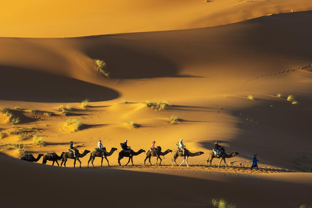 morocco tours from marrakech