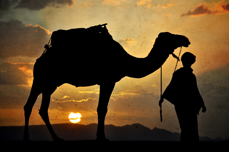 5 days morocco tour from fes to marrakech