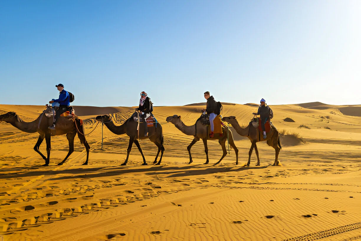 morocco trips from marrakech