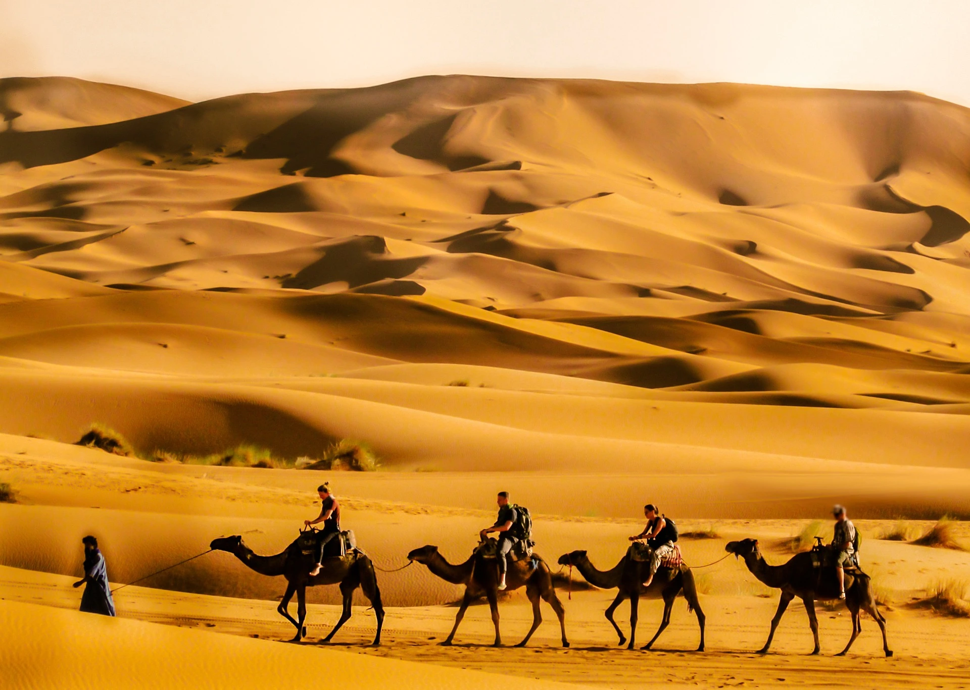 tour from casablanca