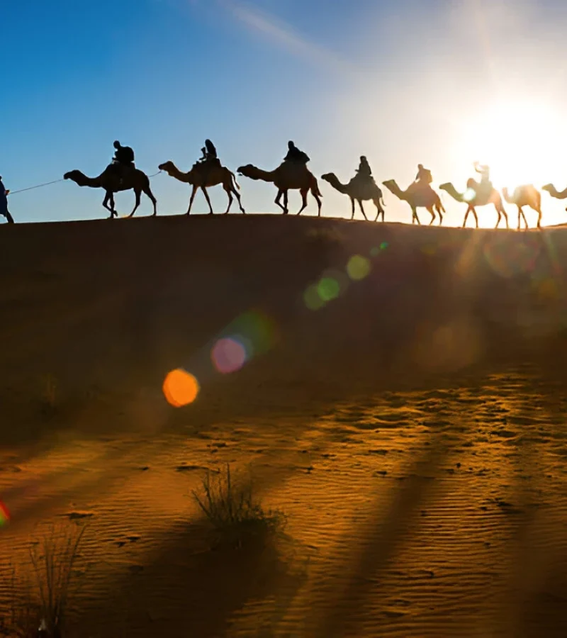 morocco travel agency